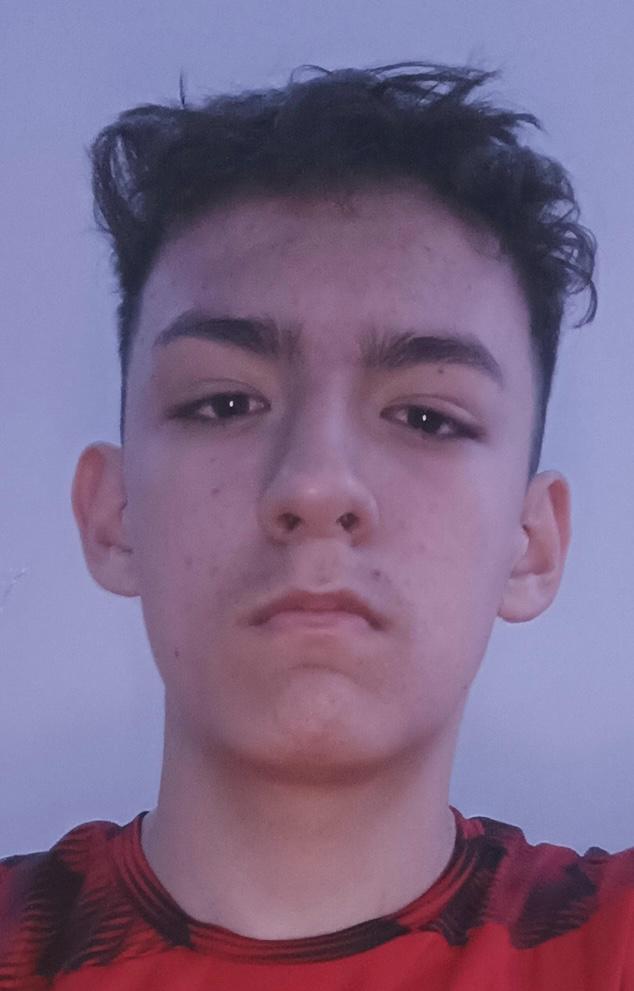 User Image